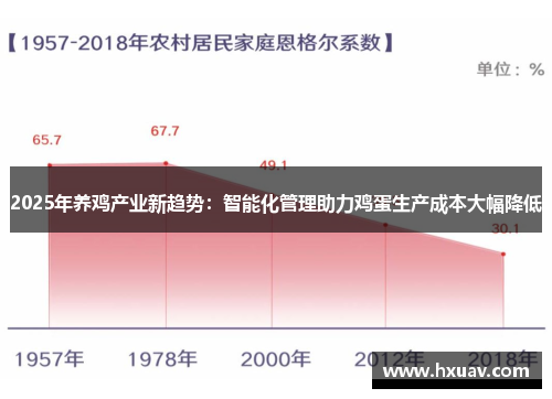 2025年养鸡产业新趋势：智能化管理助力鸡蛋生产成本大幅降低
